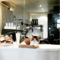 Kattencafé Op Z'n Kop food