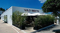 Wild Beets outside
