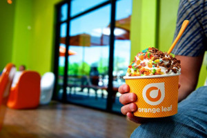 Orange Leaf Frozen Yogurt food