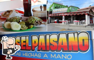 Tacos El Paisano Santa Rosalia food