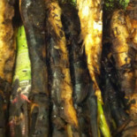 Bodega Donostiarra food