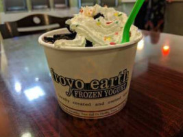 Froyo Earth Wandarmere food