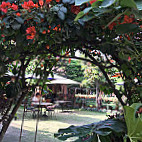 Rabsel Garden Cafe At Shechen Monastery inside