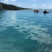 Marriott St. Thomas Pool Comida