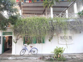 The Bodhi Tree Hostel outside