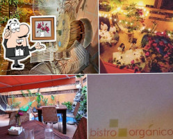 Bistro Orgánico food