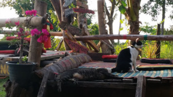 Jahrastafari Exterior