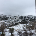 Rural- Los Olivos Extérieur