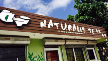 Naturalis Te inside