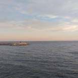 Pollos A L'ast Tere food