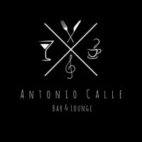 Antonio Calle Lounge inside