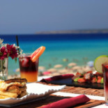 Flipper Chiller food