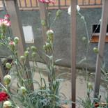 Casa El Lavijero Comida