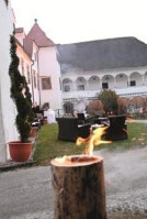Schloss Dornhofen outside