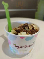 Yogurtland food