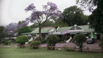 Wild Fig Tree Sabie outside