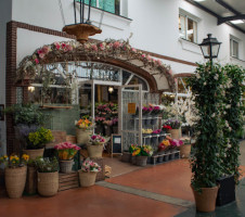 Pena Flamenca El Romeral inside