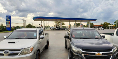 ราชาไก่บ้าน Dentro