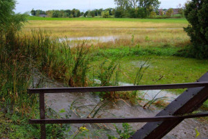 The Bridges At Beresford Golf Course And Community Center outside