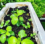 Wilsonpark Wēi ěr Sēn Gōng Yuán food