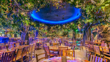 Rainforest Cafe Menlo Park Mall inside