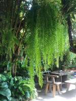 บ้านนมขนม