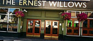 The Ernest Willows outside