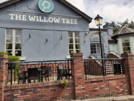 The Willow Tree inside