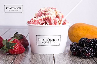 PLATONICO Pan y Helado Gourmet
