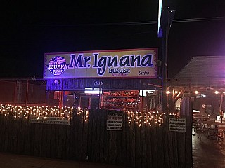 Mr Iguana