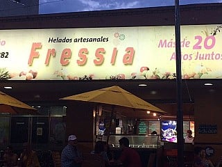 Fressia Helados Artesanales