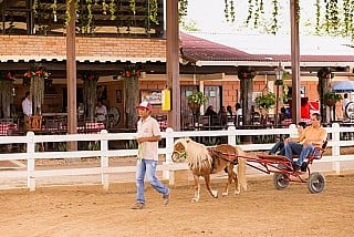 Los Potrillos Restaurante Bar