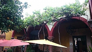 El Fruty Restaurante & Cafe