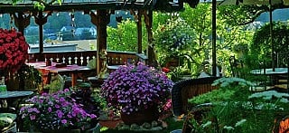Nina's Hillside Garden