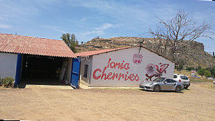 Ionia Cherry Farm