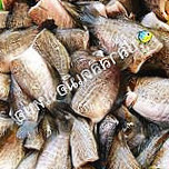 ปลาสลิดเมืองเหน่อ