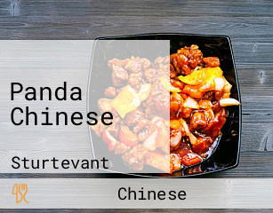 Panda Chinese