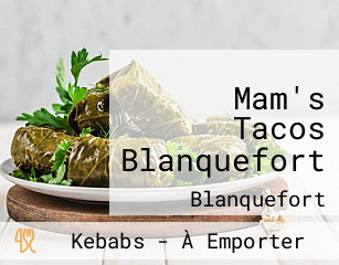 Mam's Tacos Blanquefort