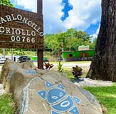 El Tabloncillo Criollo