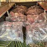 ปูนาอาเธอร์ปาร์ค ขอนแก่น