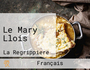 Le Mary Llois
