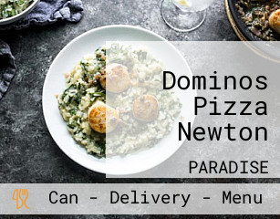 Dominos Pizza Newton