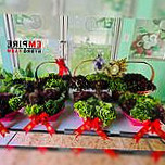 เอ็มไพร์ ไฮโดรฟาร์ม