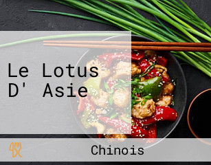 Le Lotus D' Asie