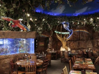 Rainforest Cafe Anaheim