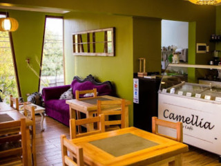 Cafeteria Camellia