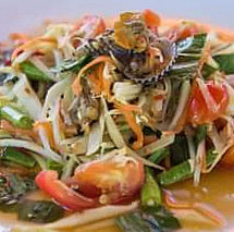 ส้มตำยำแซ่บกลางนา