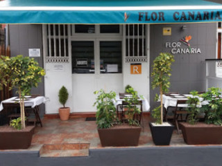 Flor Canaria