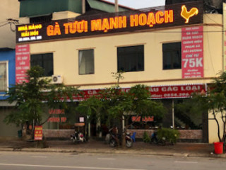 Nh Gà Tươi Mạnh Hoạch Chúc Sơn