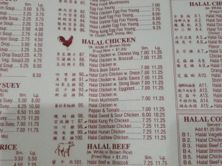 Halal Musa Chinese Food